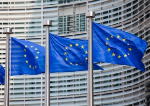 photodune-3609952-european-flags-in-brussels-s